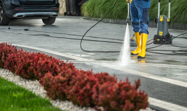 Best Building Exterior Washing  in Altoona, IA